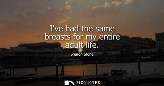 Small: Ive had the same breasts for my entire adult life - Sharon Stone