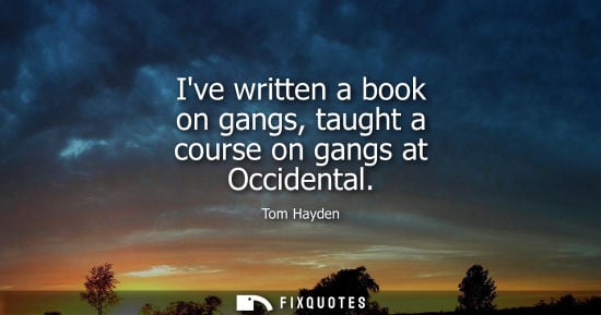 Small: Ive written a book on gangs, taught a course on gangs at Occidental