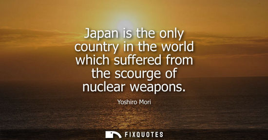 Small: Japan is the only country in the world which suffered from the scourge of nuclear weapons