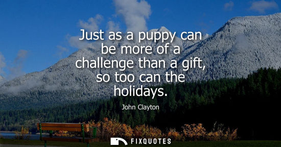 Small: Just as a puppy can be more of a challenge than a gift, so too can the holidays