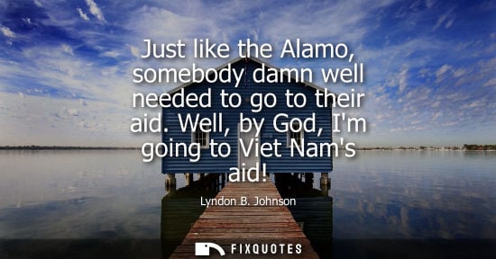 Small: Just like the Alamo, somebody damn well needed to go to their aid. Well, by God, Im going to Viet Nams 