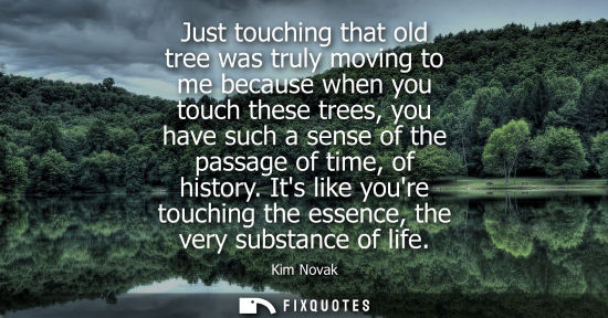Small: Just touching that old tree was truly moving to me because when you touch these trees, you have such a 