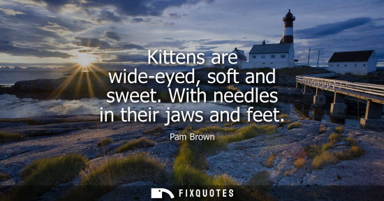 Small: Pam Brown: Kittens are wide-eyed, soft and sweet. With needles in their jaws and feet