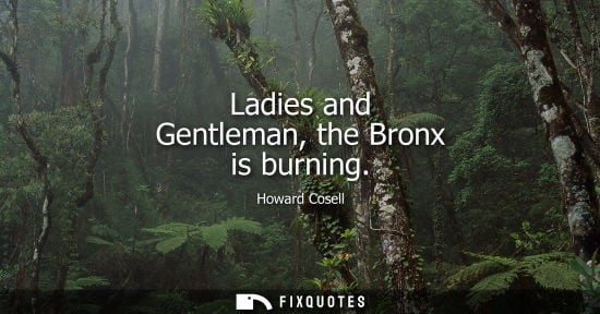 Small: Ladies and Gentleman, the Bronx is burning