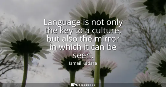 Small: Language is not only the key to a culture, but also the mirror in which it can be seen