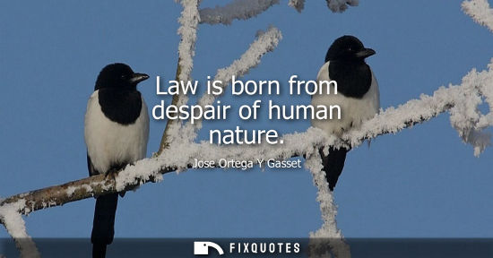 Small: Law is born from despair of human nature