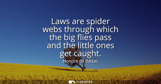 Small: Laws are spider webs through which the big flies pass and the little ones get caught