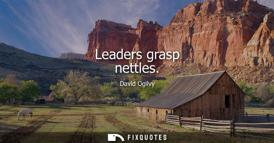 Small: Leaders grasp nettles