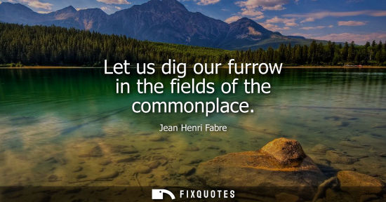 Small: Let us dig our furrow in the fields of the commonplace