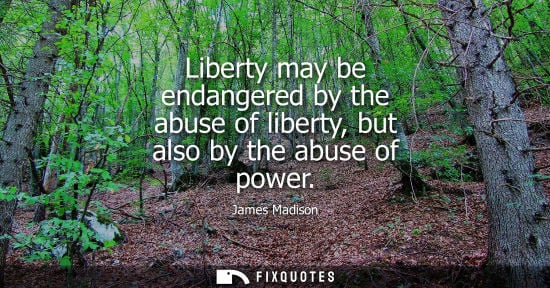 Small: Liberty may be endangered by the abuse of liberty, but also by the abuse of power