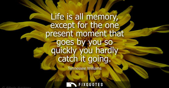 Small: Life is all memory, except for the one present moment that goes by you so quickly you hardly catch it g