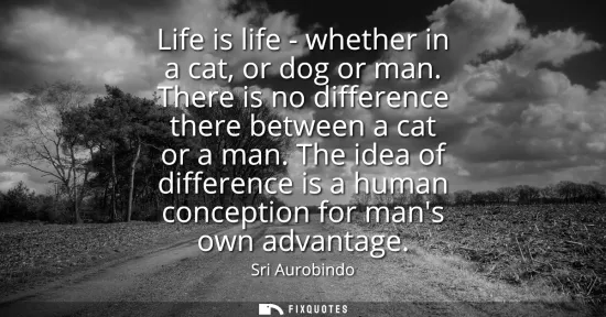 Small: Life is life - whether in a cat, or dog or man. There is no difference there between a cat or a man. The idea 