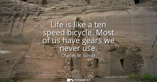 Small: Life is like a ten speed bicycle. Most of us have gears we never use