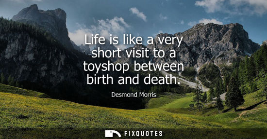 Small: Life is like a very short visit to a toyshop between birth and death
