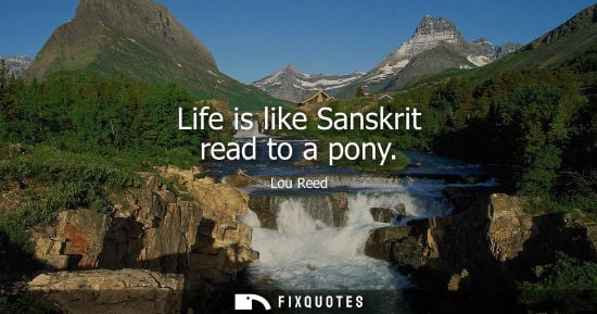 Small: Life is like Sanskrit read to a pony