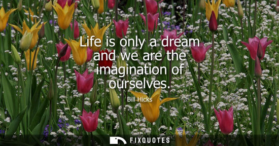 Small: Life is only a dream and we are the imagination of ourselves