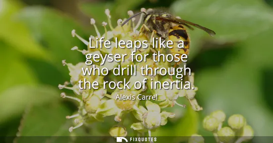 Small: Life leaps like a geyser for those who drill through the rock of inertia