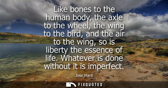Small: Like bones to the human body, the axle to the wheel, the wing to the bird, and the air to the wing, so 