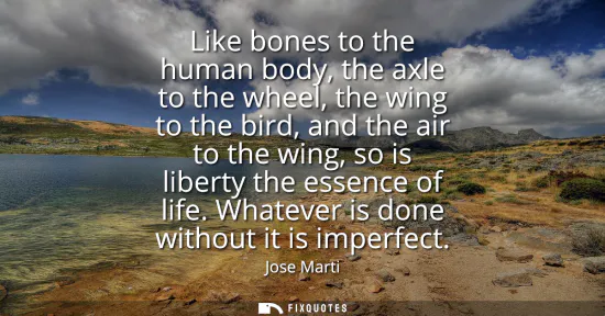 Small: Like bones to the human body, the axle to the wheel, the wing to the bird, and the air to the wing, so is libe