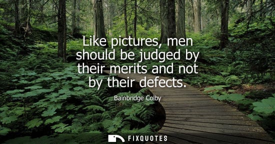 Small: Like pictures, men should be judged by their merits and not by their defects