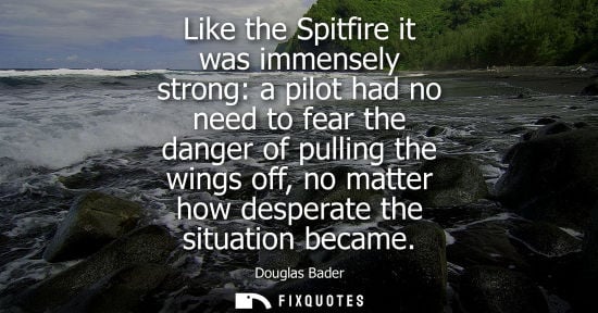 Small: Like the Spitfire it was immensely strong: a pilot had no need to fear the danger of pulling the wings 