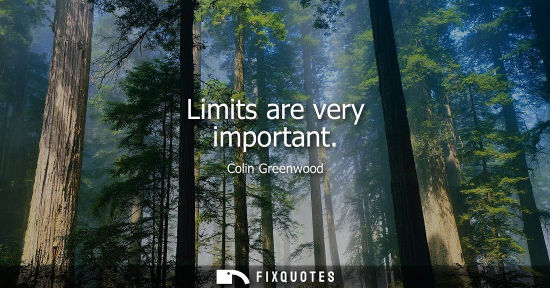 Small: Limits are very important