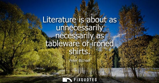 Small: Literature is about as unnecessarily necessarily as tableware or ironed shirts