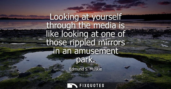 Small: Looking at yourself through the media is like looking at one of those rippled mirrors in an amusement p