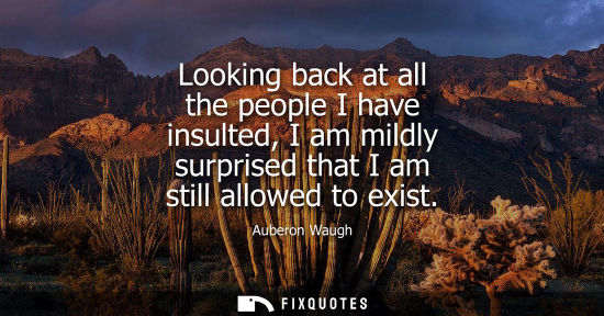 Small: Looking back at all the people I have insulted, I am mildly surprised that I am still allowed to exist