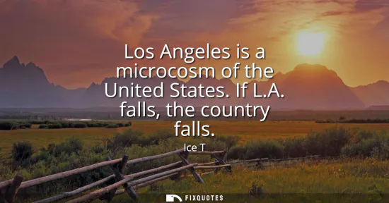 Small: Los Angeles is a microcosm of the United States. If L.A. falls, the country falls