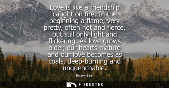 Small: Love is like a friendship caught on fire. In the beginning a flame, very pretty, often hot and fierce, 