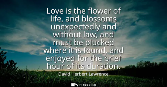 Small: Love is the flower of life, and blossoms unexpectedly and without law, and must be plucked where it is found, 