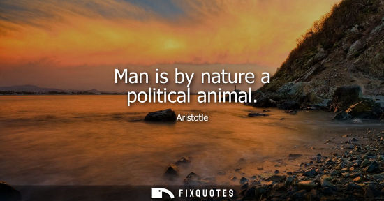 Small: Man is by nature a political animal - Aristotle