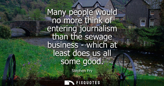Small: Many people would no more think of entering journalism than the sewage business - which at least does u