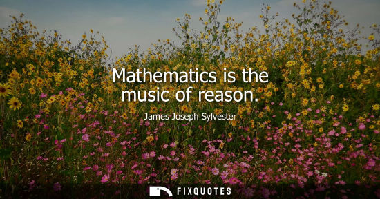 Small: Mathematics is the music of reason