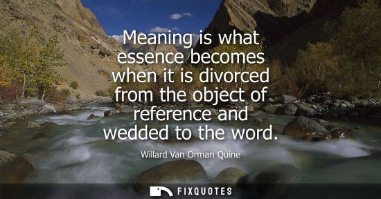 Small: Meaning is what essence becomes when it is divorced from the object of reference and wedded to the word