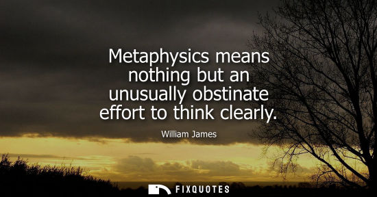 Small: Metaphysics means nothing but an unusually obstinate effort to think clearly