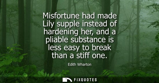 Small: Misfortune had made Lily supple instead of hardening her, and a pliable substance is less easy to break