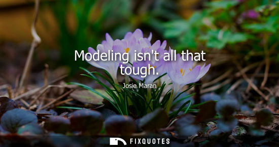 Small: Modeling isnt all that tough