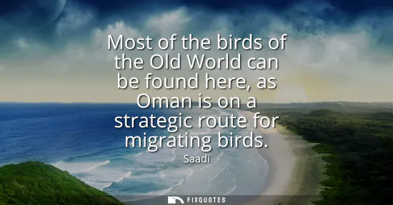 Small: Most of the birds of the Old World can be found here, as Oman is on a strategic route for migrating birds