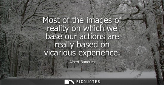 Small: Most of the images of reality on which we base our actions are really based on vicarious experience