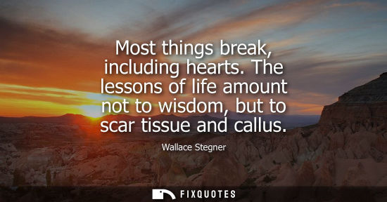 Small: Most things break, including hearts. The lessons of life amount not to wisdom, but to scar tissue and c