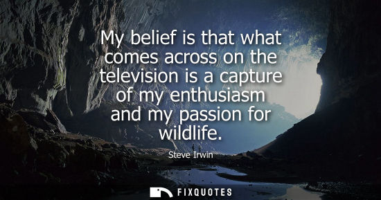 Small: Steve Irwin: My belief is that what comes across on the television is a capture of my enthusiasm and my passio