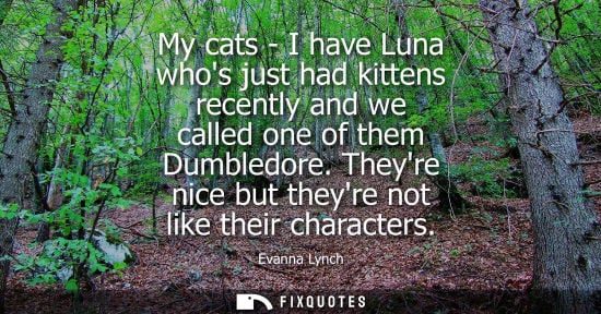 Small: My cats - I have Luna whos just had kittens recently and we called one of them Dumbledore. Theyre nice 