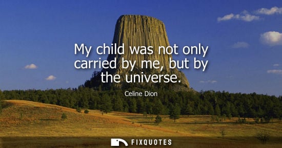Small: My child was not only carried by me, but by the universe