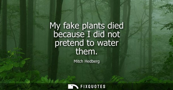 Small: My fake plants died because I did not pretend to water them