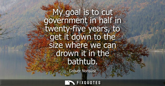 Small: My goal is to cut government in half in twenty-five years, to get it down to the size where we can drow