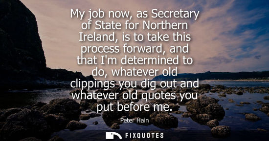 Small: My job now, as Secretary of State for Northern Ireland, is to take this process forward, and that Im de