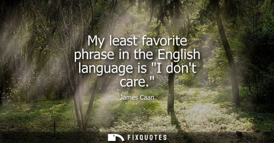 Small: My least favorite phrase in the English language is I dont care.