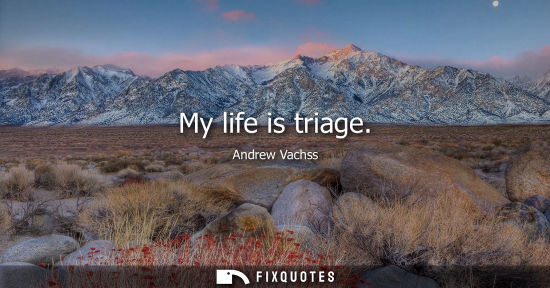 Small: My life is triage